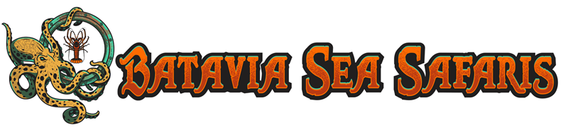 Batvia Sea Safaris Logo